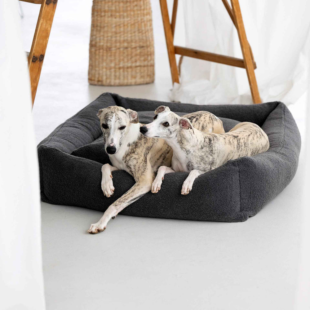 "Zwei gestromte Windhunde genießen das komfortable CLASSIC Hundebett TEDDY in modernem, grauem Design."