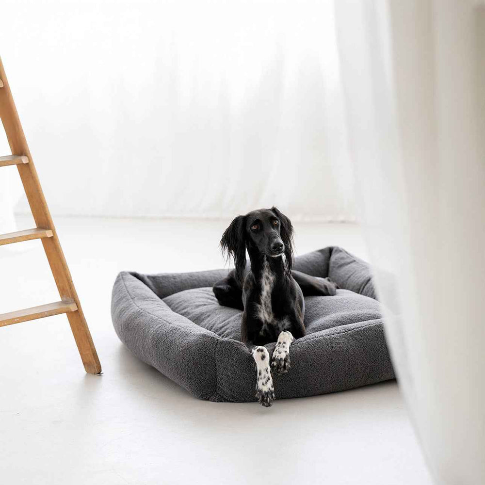 Schwarzer Hund mit langen Ohren entspannt auf grauem CLASSIC Hundebett TEDDY in heller Umgebung.