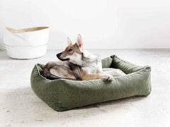 Grünes Bezug CLASSIC Hundebett - ECO, darin liegt ein entspannter Hund mit grauem und braunem Fell auf hellem Boden.