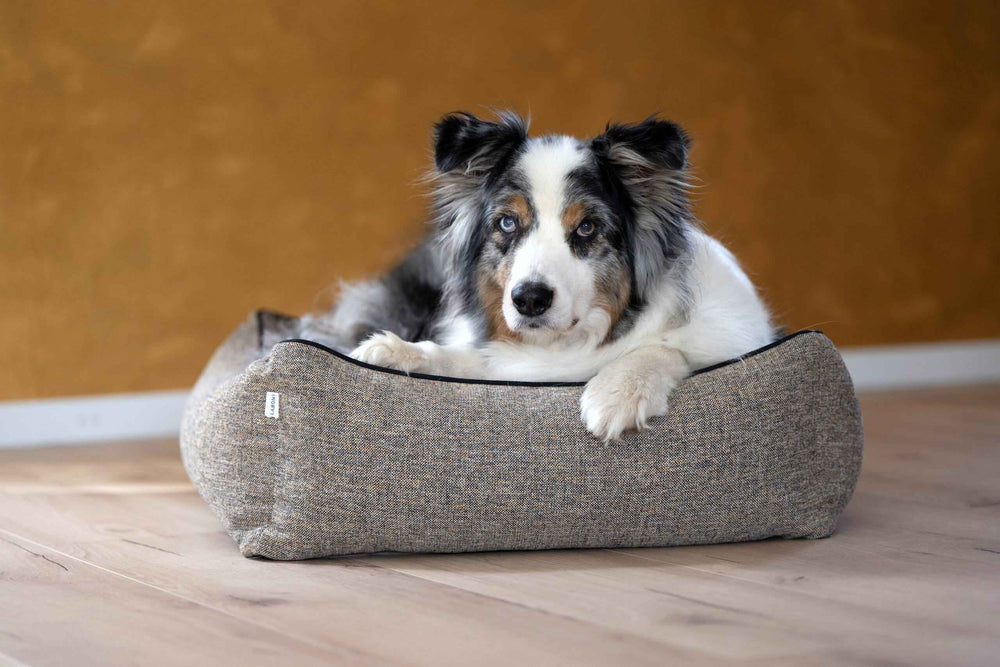 "CLASSIC Hundebett SCALA: Bequeme Liegefläche für Hunde mit strukturierter Oberfläche und stilvollem Design."