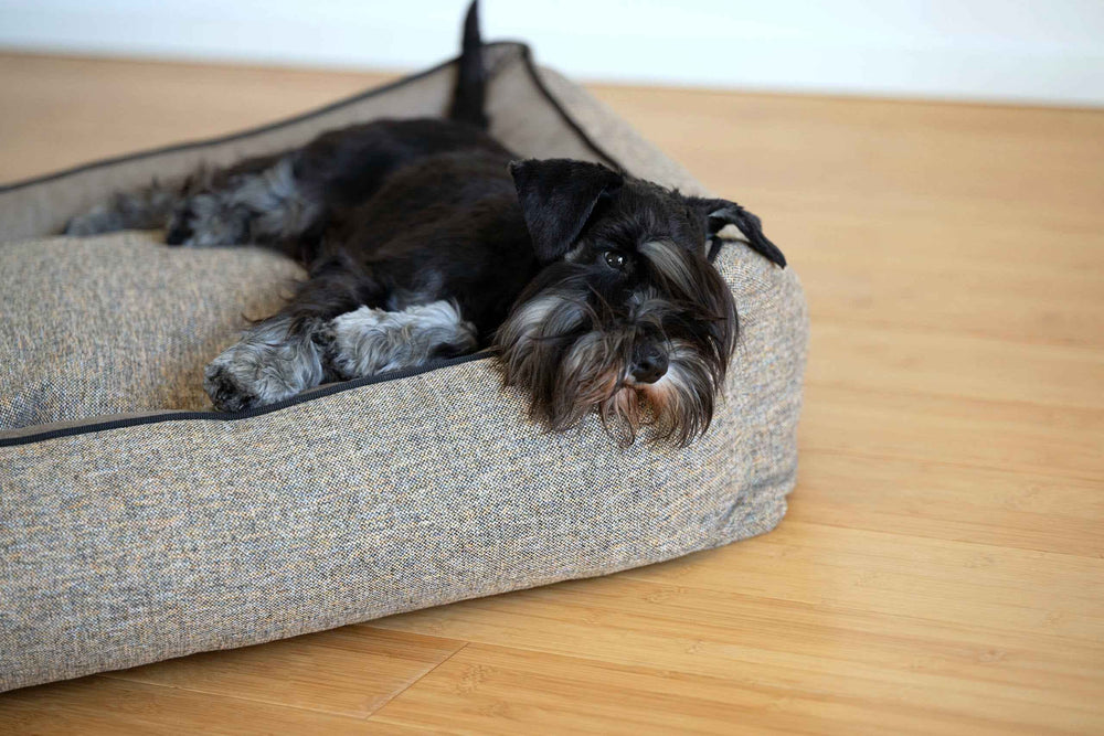 Schwarzer Hund auf quadratischem CLASSIC Hundebett SCALA aus grauem Stoff, entspannend auf hellem Holzboden.