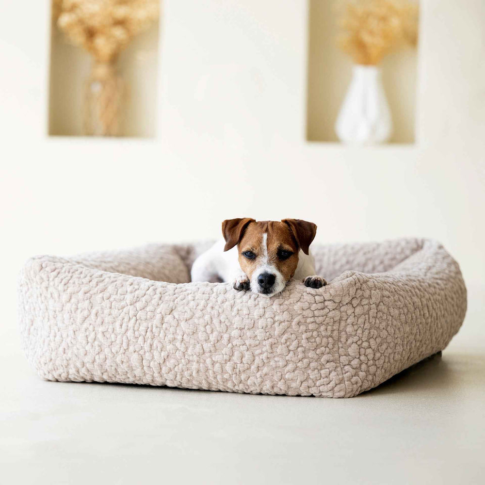 Kleiner braun-weißer Hund liegt entspannt auf dem beigen CLASSIC Hundebett BELLAGIO.
