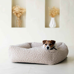 Kleiner, entspannter Hund auf beigefarbenem CLASSIC BELLAGIO Hundebett mit dekorativem Hintergrund.