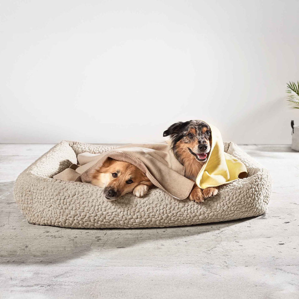 "Zwei Hunde entspannen in einem CLASSIC BELLAGIO Hundebett, umhüllt von einer beige und gelben Decke."