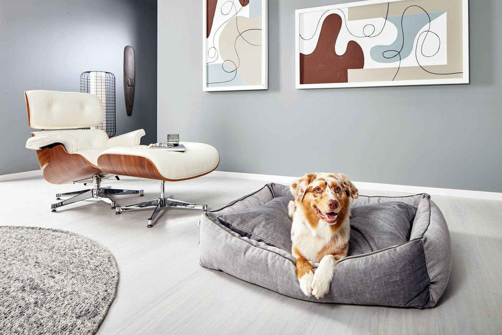 „CLASSIC Hundebett GLAM in modernem Raum mit grauem Boden, entspannter Hund und stilvollem Sessel.“