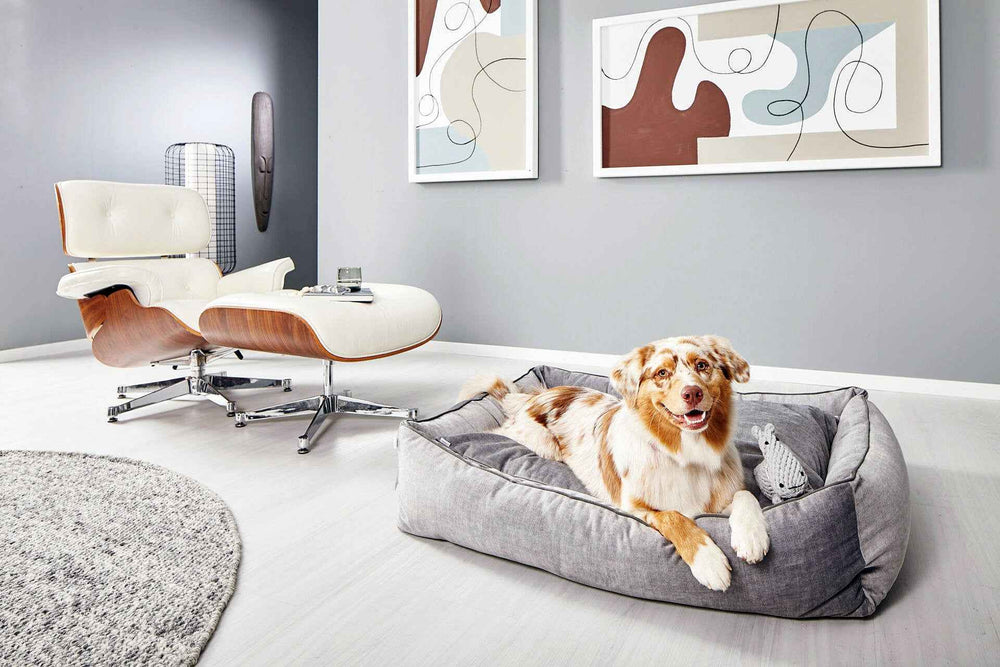 Stylisches CLASSIC Hundebett in Grau, perfekt für ein modernes Wohnambiente mit gemütlichem Sessel und Holzdetails.