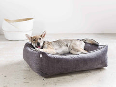 Gemütliches graues CLASSIC Hundebett - GLAM mit einem lächelnden Hund, Umwelt mit neutralem Boden und Korb.
