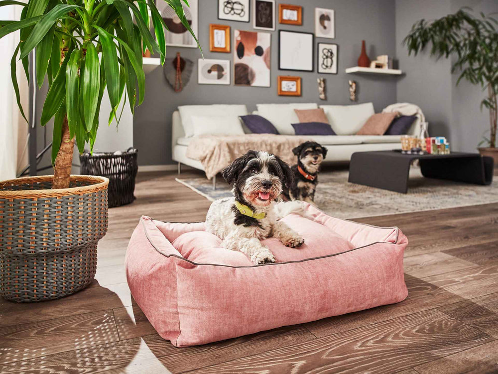 "Rosa CLASSIC Hundebett GLAM in modernem Wohnraum mit zwei Hunden, einer entspannt liegend, der andere im Hintergrund."