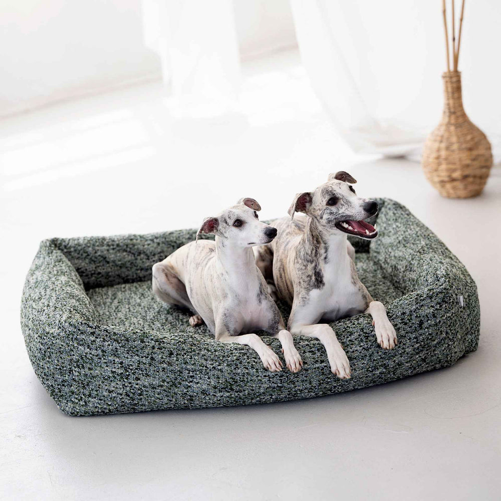"Zwei Whippets liegen entspannt im ORTHO Hundebett SIENA mit grüner Oberfläche in einem hellen Raum."