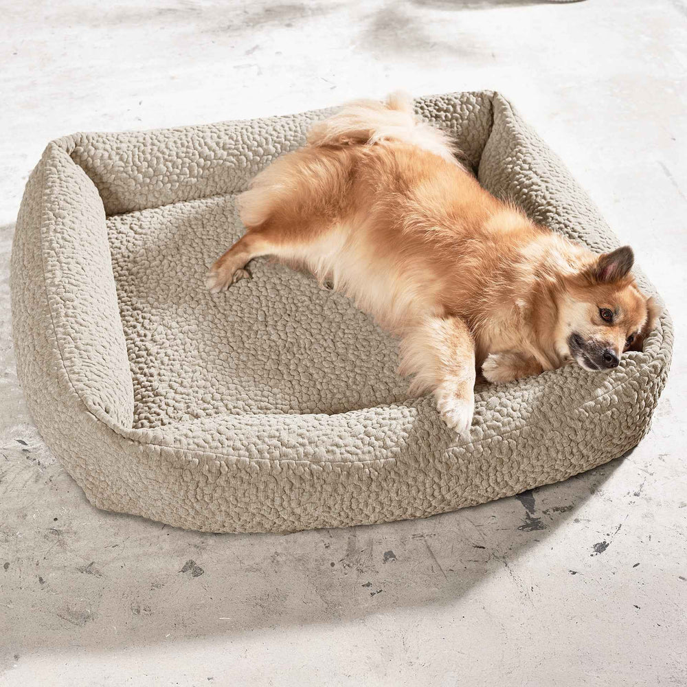 "Entspannter Hund in hellbeigem ORTHO Hundebett BELLAGIO mit hoher Umrandung für optimale Geborgenheit und Komfort."