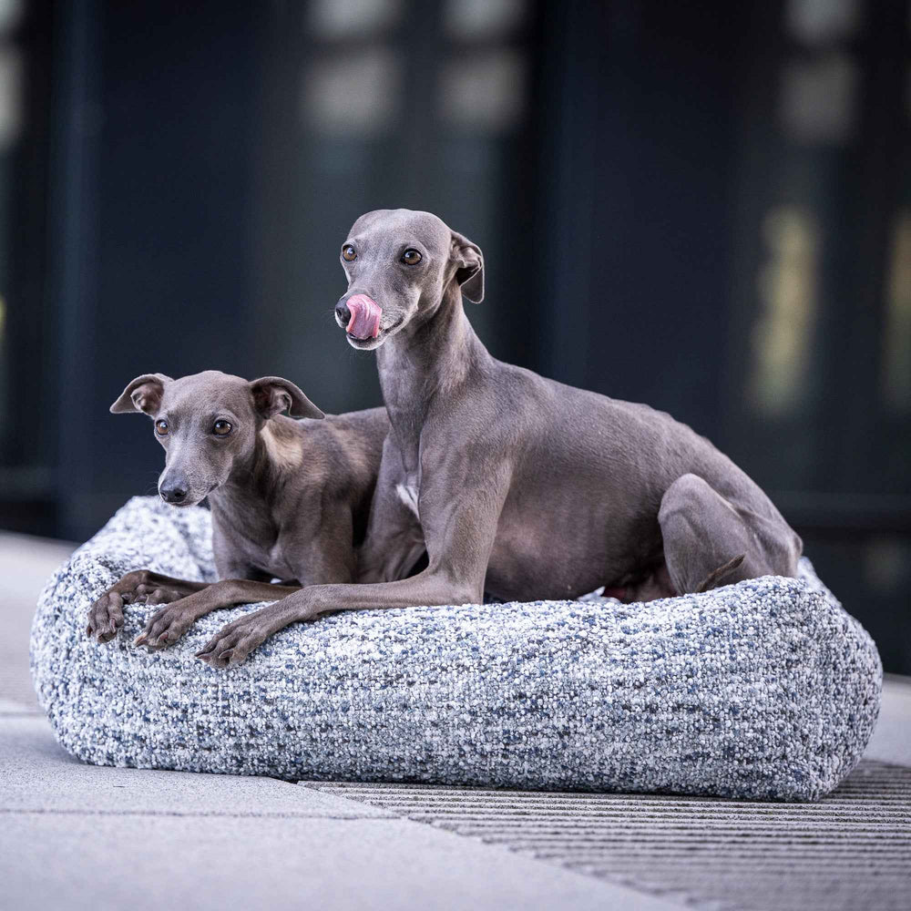 Alt-Text: Zwei italienische Greyhounds entspannen auf dem grauen CLASSIC Hundebett SIENA.