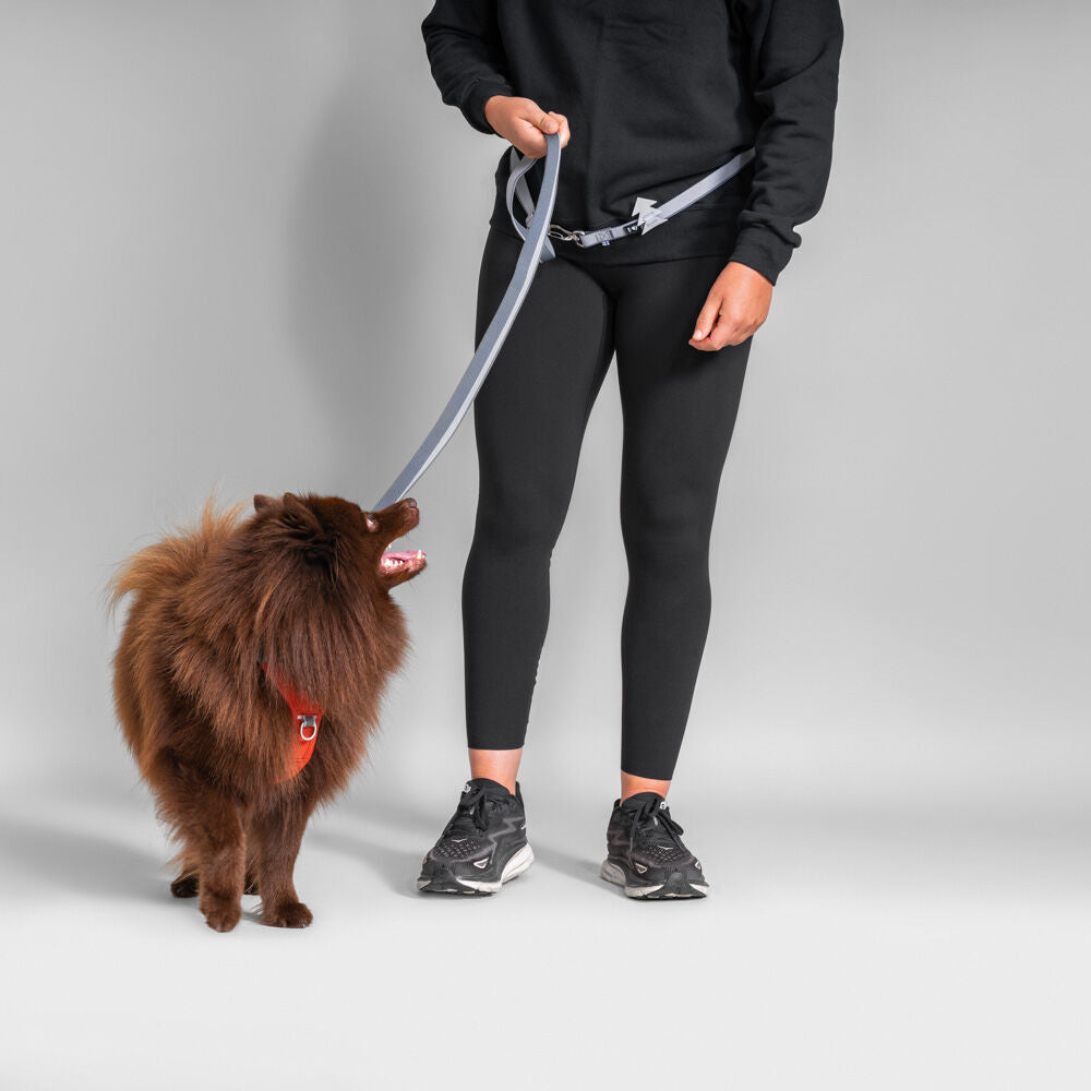 Hundeleine Multi-Long II – zusätzliche Produktansicht 5
