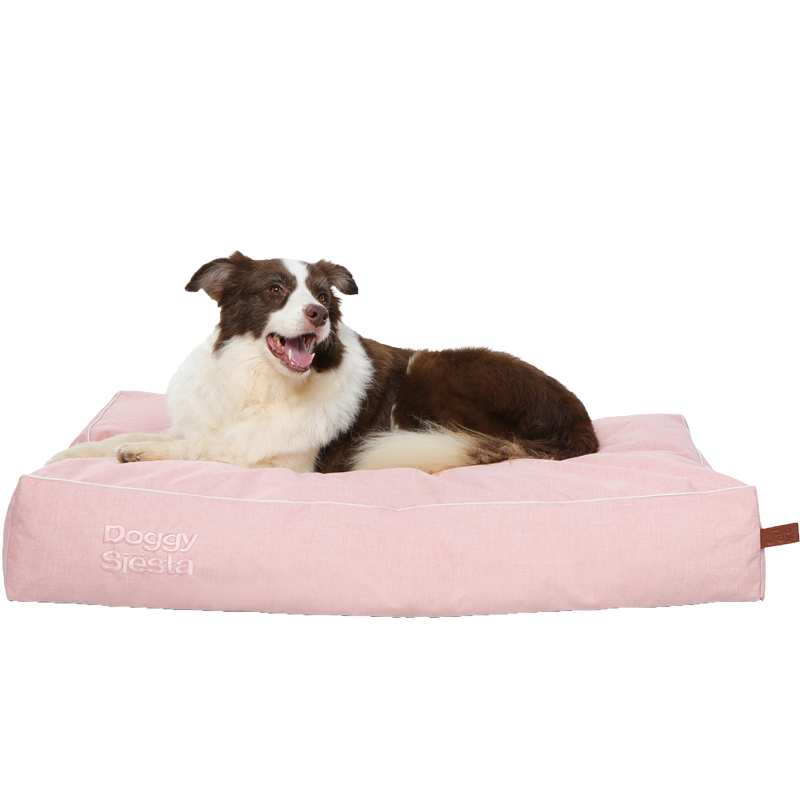 Hund liegt entspannt auf rosa DoggySiesta Hundebett mit weißer Kante und schaut freundlich in die Kamera.
