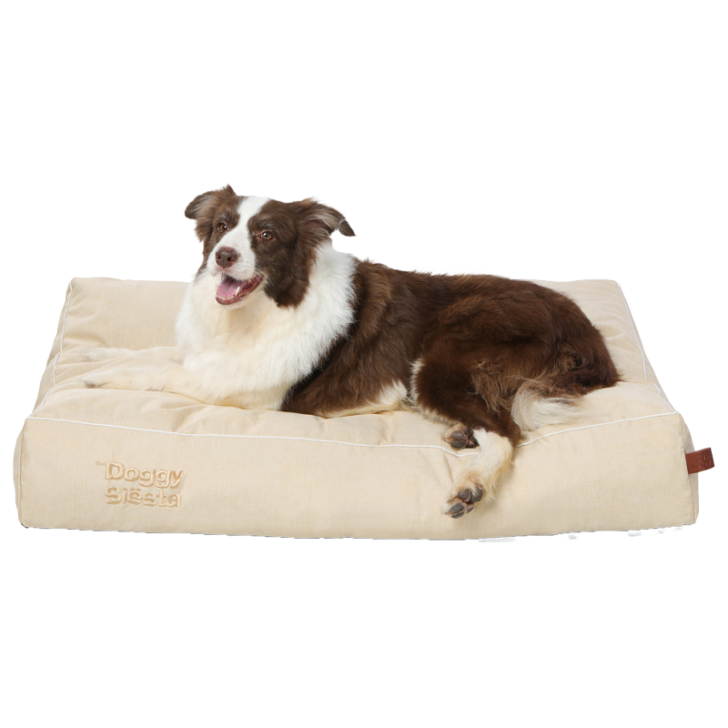 Entspannter Hund mit braun-weißem Fell auf einem beigen, plüschigen Hundebett von "Doggy Beach".