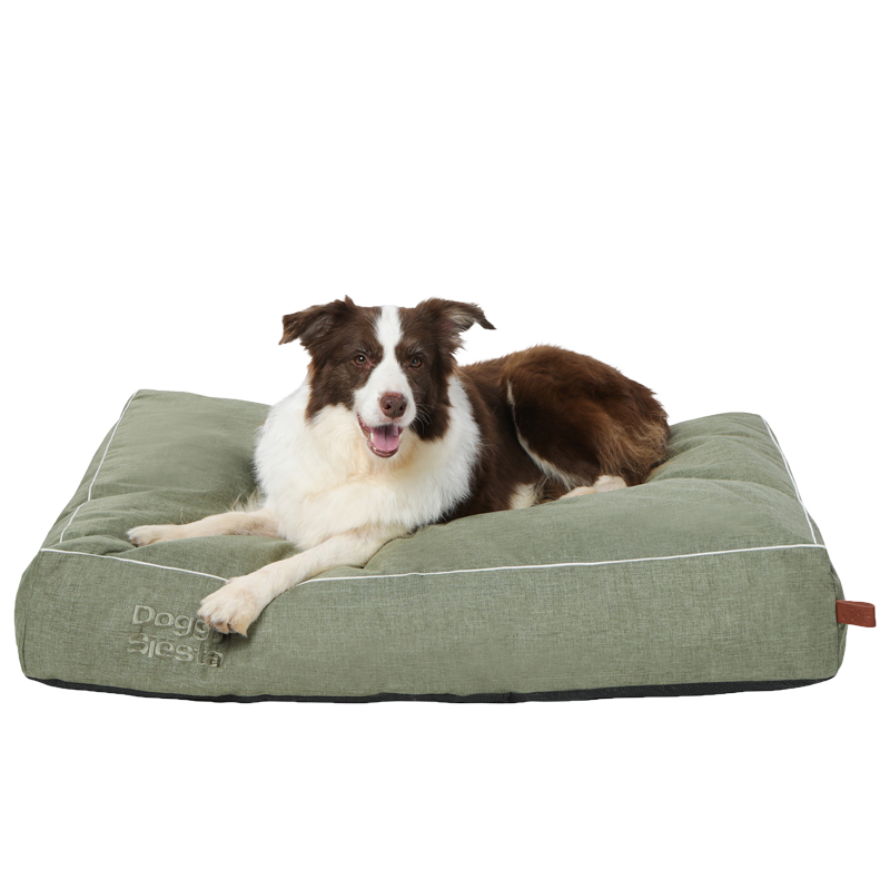 "Comfortables hundefreundliches Bett in grün mit Border Collie, ideal für entspannten Schlaf und gemütliche Auszeiten."