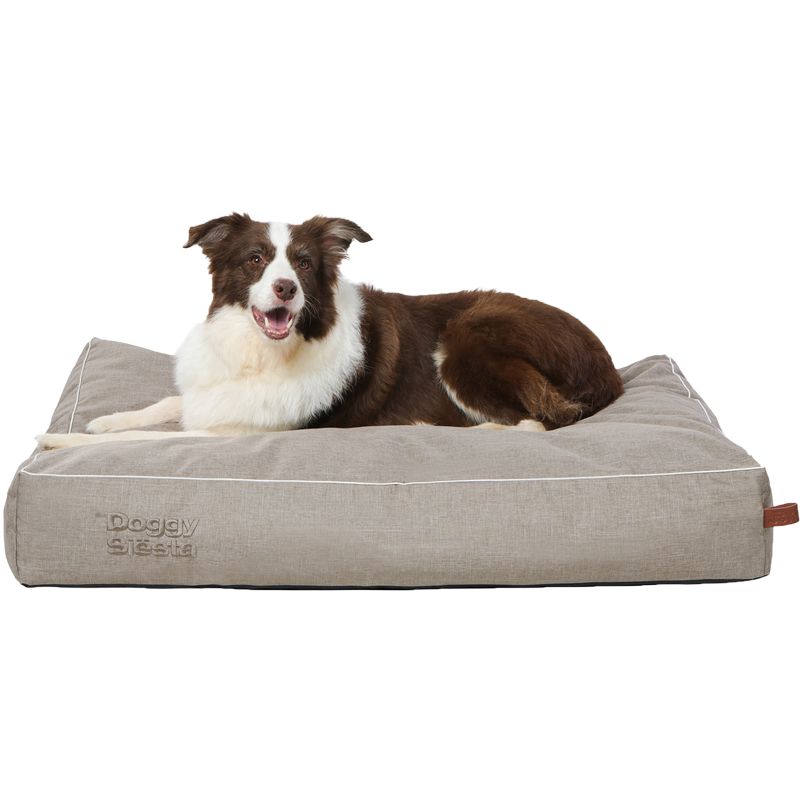 "Braunes und beiges Hundebett mit entspannendem Hund, modernes Design und dekorative Naht, Schriftzug 'DoggySi?sta Strong'."