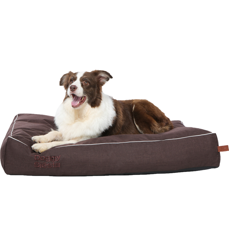 "Braunes Hundebett mit heller Umrandung, Relax-Zone für einen entspannten Border Collie von DoggySno."