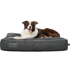 "Border Collie auf anthrazitfarbenem Hunde-Kissen mit heller Umrandung, entspannt in die Kamera schauend."