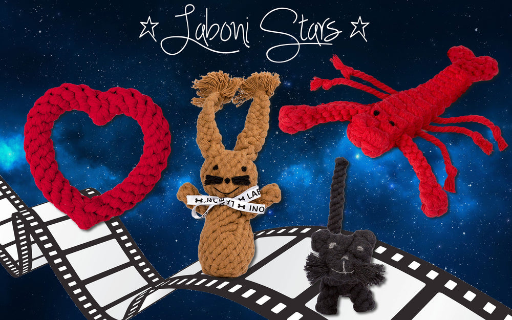 "Mini Heart Hundespielzeug – geflochtene Tierformen auf dunkelblauem Hintergrund, ideal für spielende Hunde."