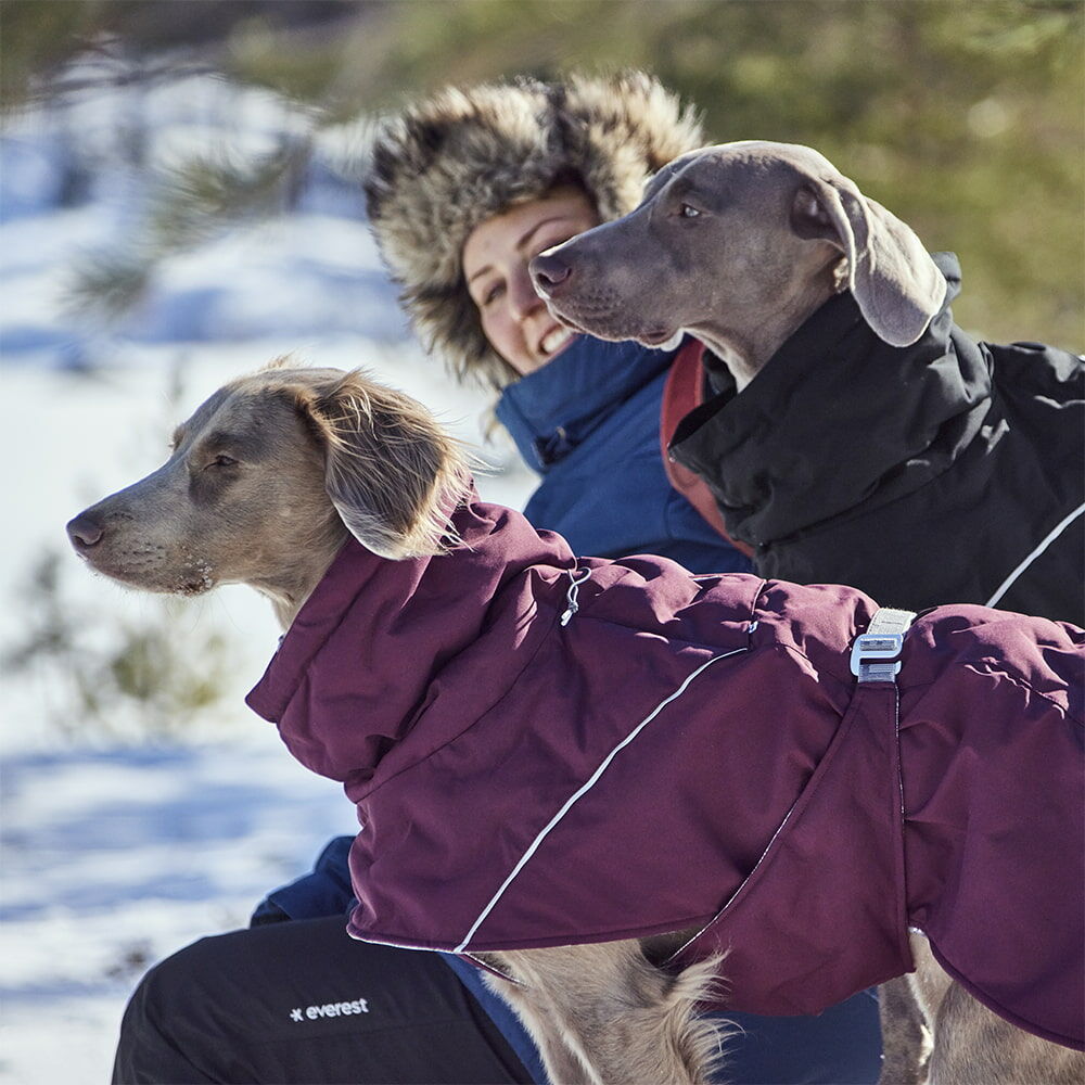 Winterjacke Extreme Warmer III ECO – zusätzliche Produktansicht 4