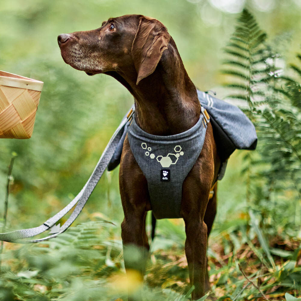 Hunderucksack Expedition Pack ECO – zusätzliche Produktansicht 7