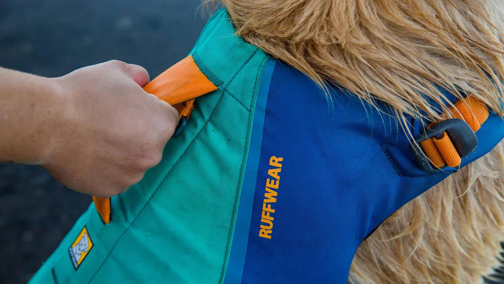 Farbenfrohe Float Coat™ Schwimmweste für Hunde in Blau und Grün mit orangefarbenen Akzenten, sicher gehalten von einer Hand.