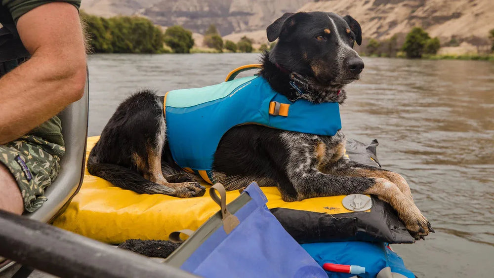 Hund in blauer Float Coat™ Schwimmweste sitzt entspannt auf einem Boot mit einer Person daneben.