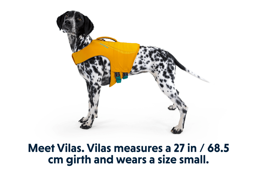 Gefleckter Hund in hellgelber Float Coat™ Schwimmweste mit dem Namen „Vilas“ und Maßangaben.
