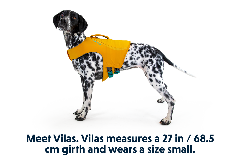 Gefleckter Hund in hellgelber Float Coat™ Schwimmweste mit dem Namen „Vilas“ und Maßangaben.