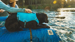 Confluence™ Schwimmweste für Hunde