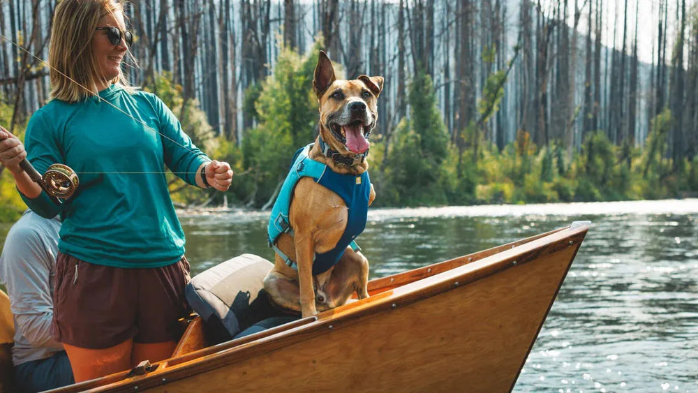 Frau angelt am Boot mit Hund in blauer Schwimmweste, glücklicher Moment am Wasser.