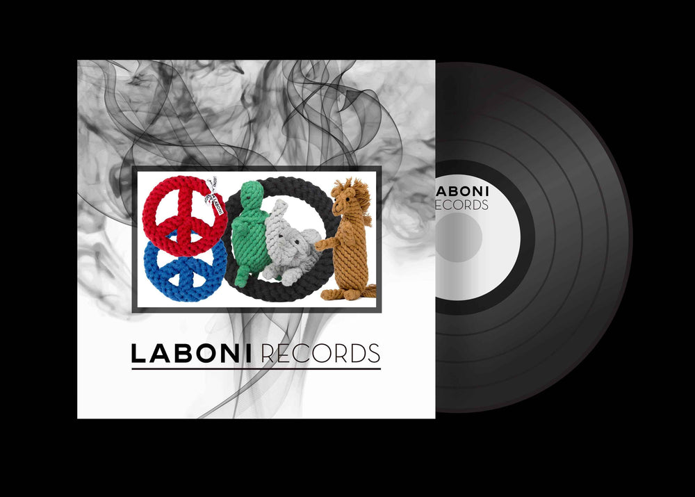 ALT-Text: Buntes Cover der Schallplatte "Tina Turtle" mit geflochtenen Figuren und tierartigen Symbolen, ideal für Hundespielzeug.