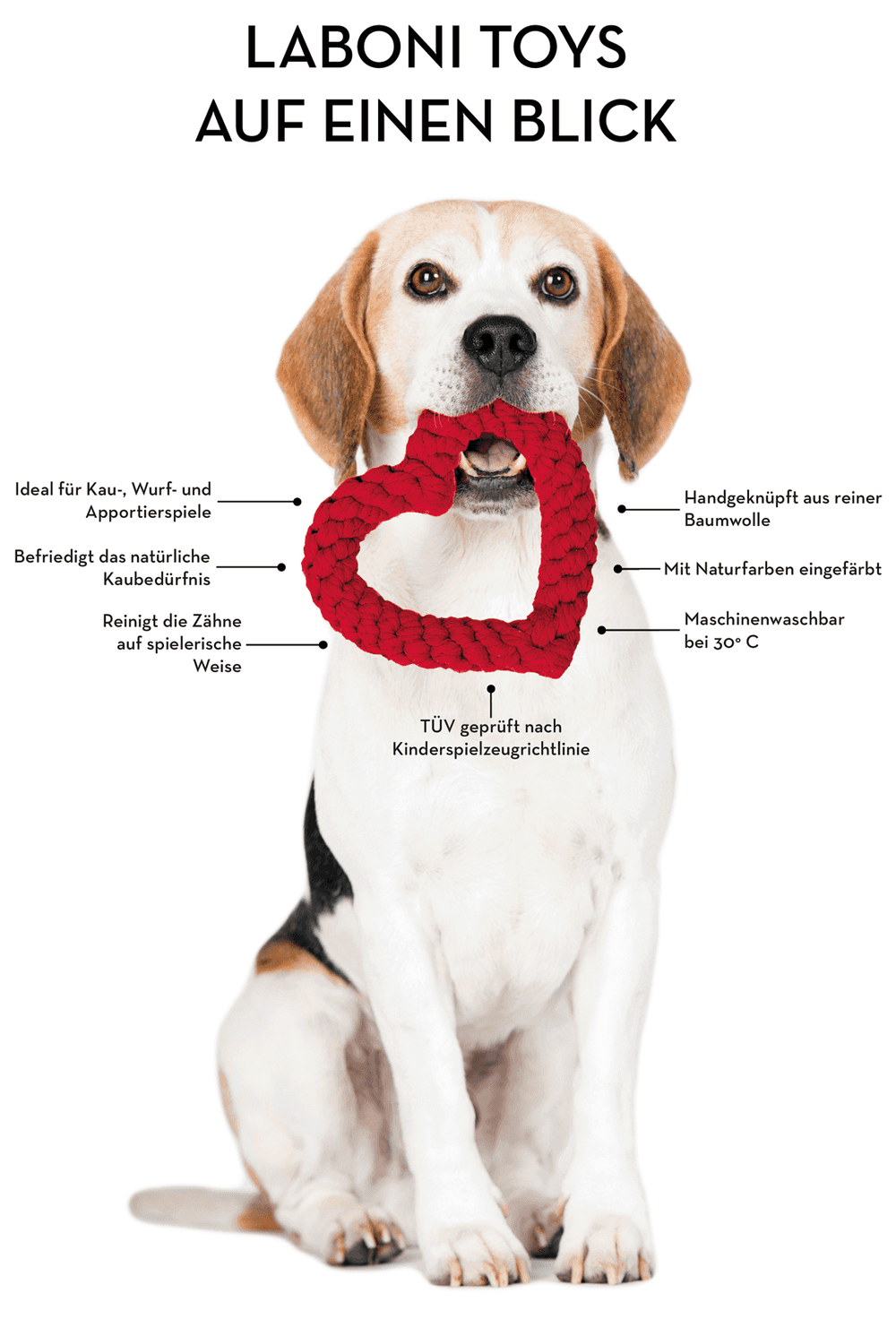 ALT-Text: Beagle mit Poldi Pinguin - rotes, herzförmiges Baumwollspielzeug für Hunde, ideal für Zahnpflege und Handarbeit.