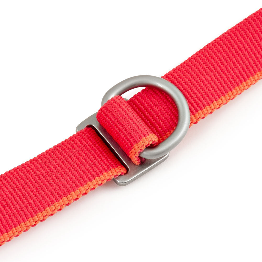 Hundeleine Multi-Long II – zusätzliche Produktansicht 11