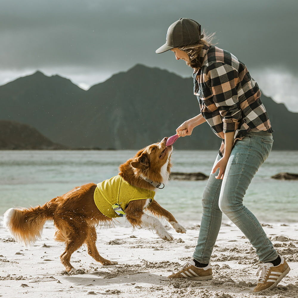 Kühlweste für Hunde – zusätzliche Produktansicht 5