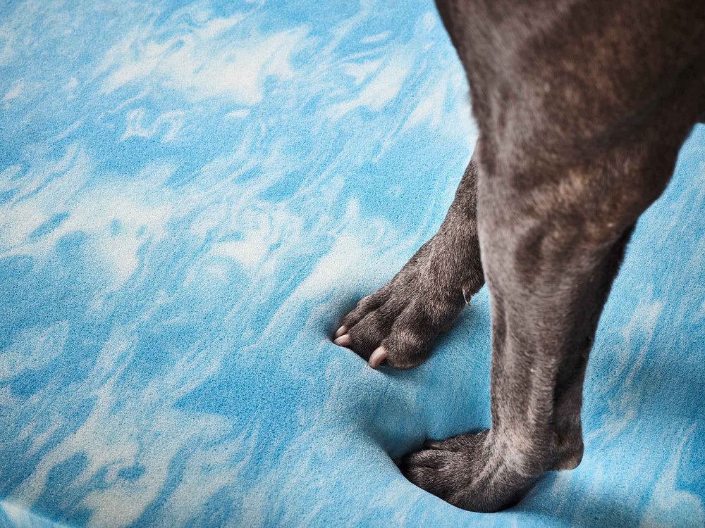 "Flauschiges ORTHO Hundebett TEDDY mit Pfotenabdruck auf blau-weiß marmoriertem Untergrund für optimalen Komfort."