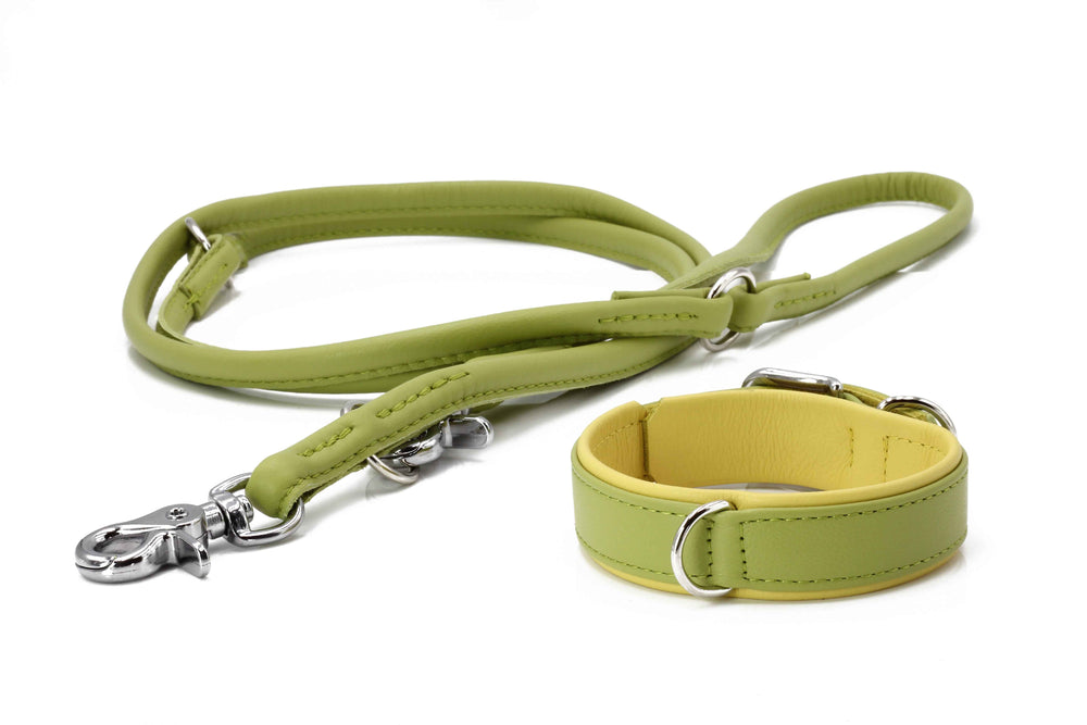 Elegante grüne Rundleine und Halsband aus Leder für modebewusste Hundefreunde mit stabilen Karabinerhaken.