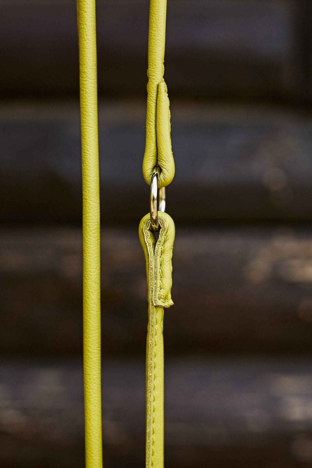 "AMICI Rundleine aus hochwertigem Leder in Gelb für stilbewusste Hundefreunde, elegant und robust."