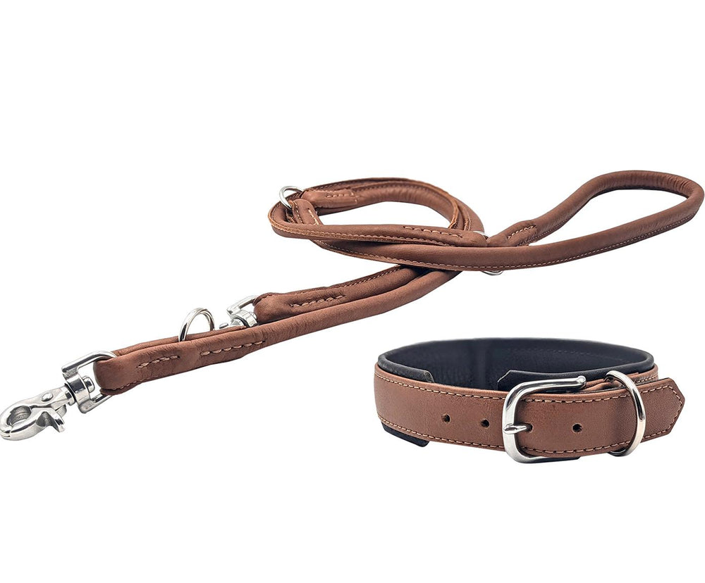 Stylishe braune Lederhalsband-Leinen-Kombination für Hunde, mit verstellbarer Schlaufe und Metallkarabiner.