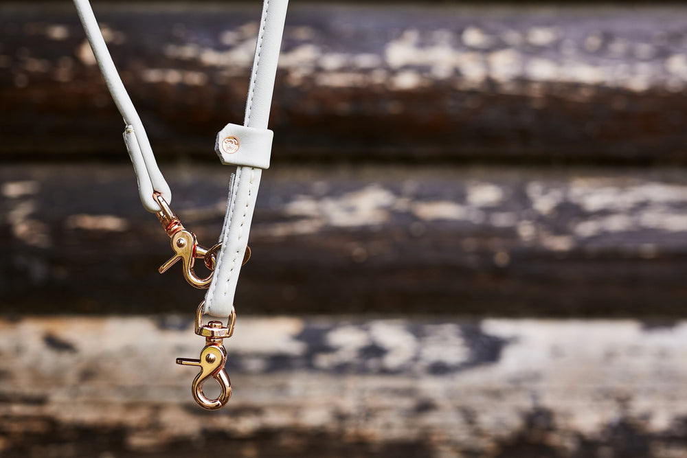 Stylische graue Lederleine mit goldenen Karabinern auf einer strukturierten Holzoberfläche.