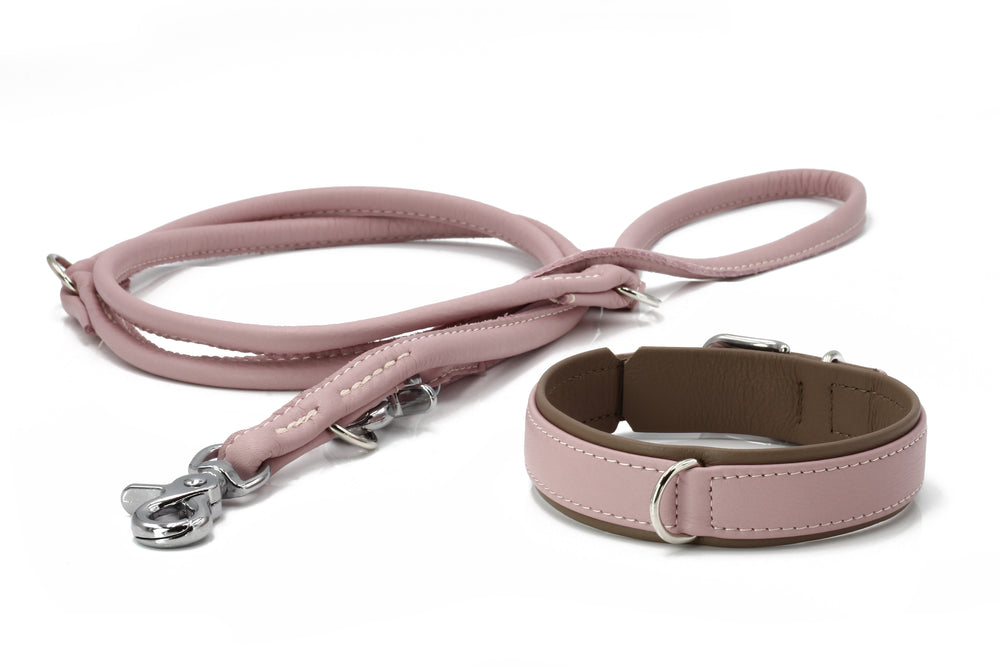 Stylishe Hundeleine und Halsband in zartem Rosa für ein trendiges Fashion-Statement. Gepolstert und stabil, ideal für Hunde.