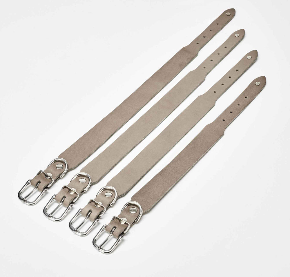 Klassisches GIRO Halsband in beige mit silberner Schnalle, ideal für jeden Einsatz, auf weißem Hintergrund.