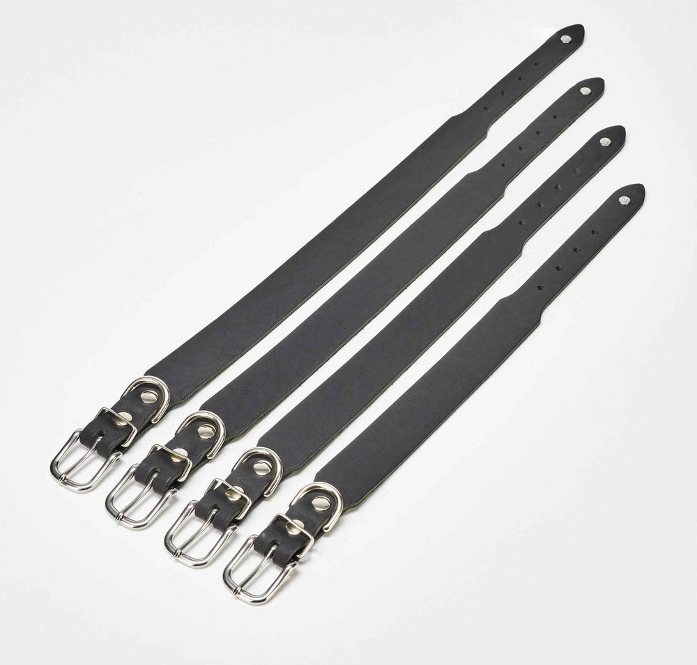 Klassisches GIRO Halsband aus robustem Material mit Metallschnalle und verstellbaren Riemen für jeden Einsatz.