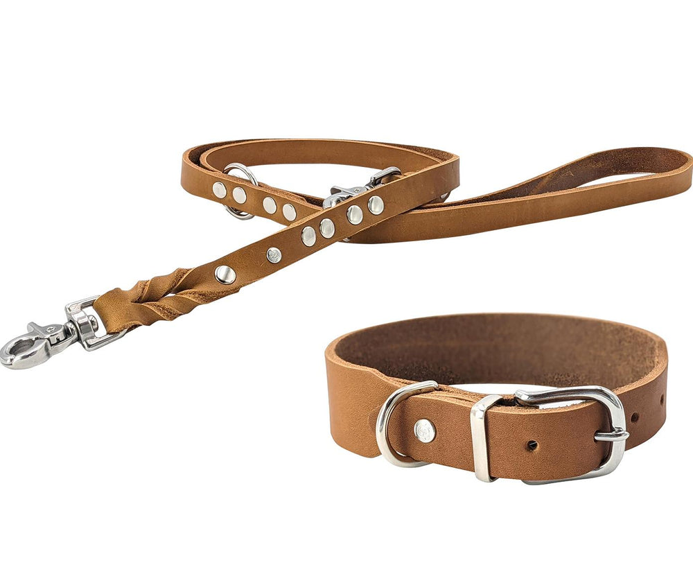 Klassisches Hundehalsband und Leine aus braunem Leder mit Metallnieten und Karabinerhaken für stilvolle Spaziergänge.