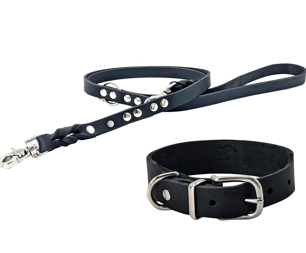 Klassisches schwarzes Lederhalsband und Leine mit Metallnieten für Hunde – robust und stilvoll.