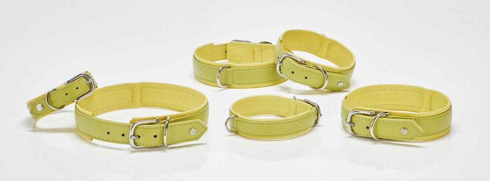 "Stylisches Nappa-Halsband für Hunde in hellgelb mit silbernen Schnallen, ideal für modebewusste Hundefreunde."