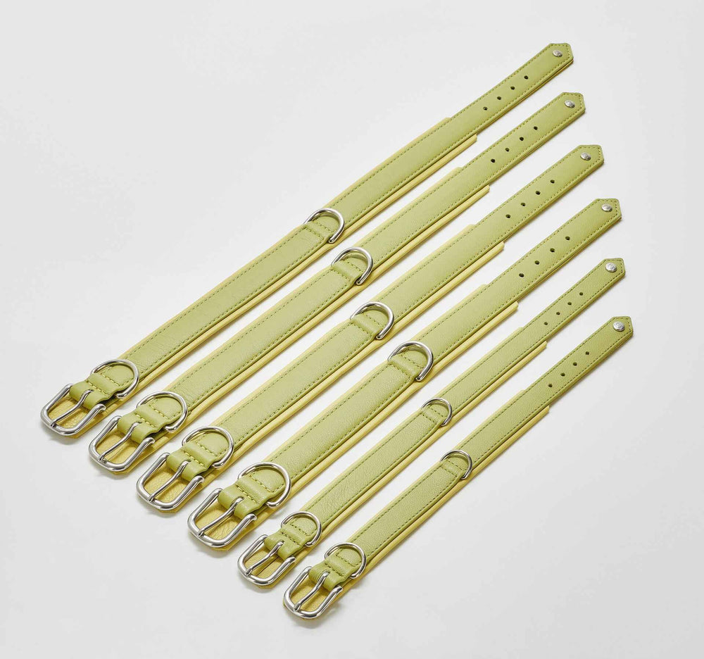 Stilvolles Nappa-Halsband von AMICI für Hunde, gelbe Leder-Riemen mit verstellbaren Metallbuckles auf weißem Hintergrund.