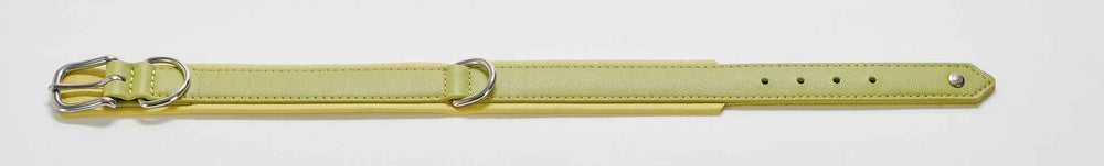 Stylisches gelbes Nappa-Halsband mit silberner Schnalle für modebewusste Hundehalter. Ideal für trendige Haustiere.