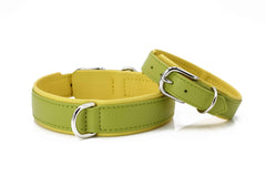 Stilvolles Nappa-Halsband für Hunde in grün mit silberner Schnalle und gelber Innenseite – ideal für modebewusste Hundefreunde.