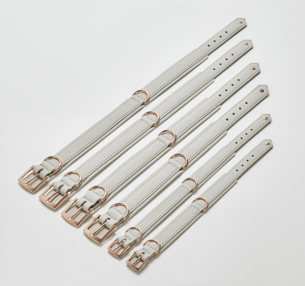 Stylishe AMICI Halsband-Leinen-Kombination in hellem Grau mit goldfarbenen Schnallen, perfekt für modebewusste Hunde.